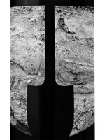 Ceniza Vineyard Cabernet Sauvignon