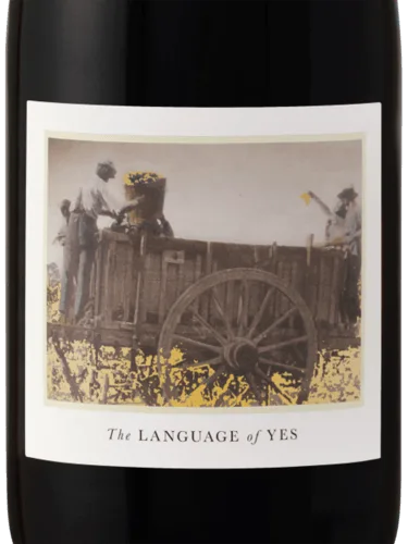 Syrah