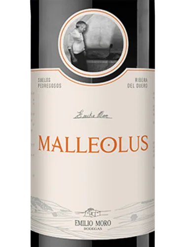 Malleolus
