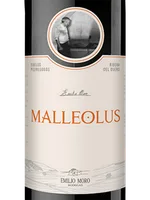 Malleolus
