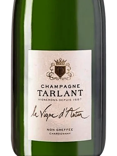 La Vigne d'Antan Non Greffée Chardonnay Champagne