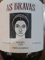 As Bravas Pampa El Cepillo Malbec