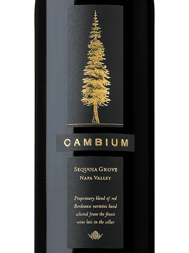 Cambium