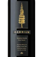 Cambium