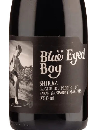 Blue Eyed Boy Shiraz