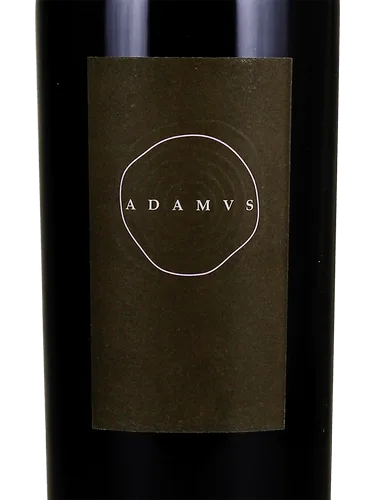 Quintvs Cabernet Sauvignon