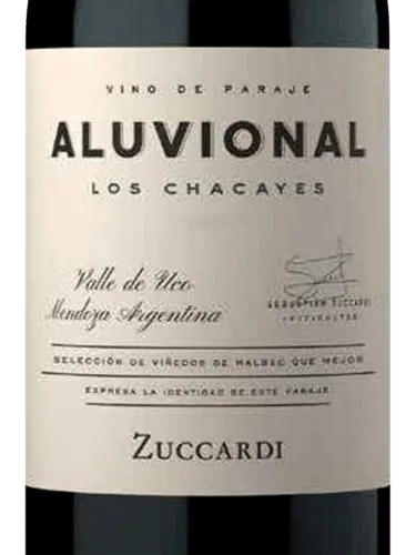 Aluvional Los Chacayes