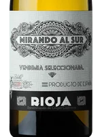 Mirando al Sur