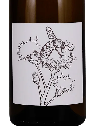 Chardonnay
