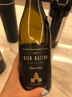 Bien Nacido Vineyard Pinot Noir