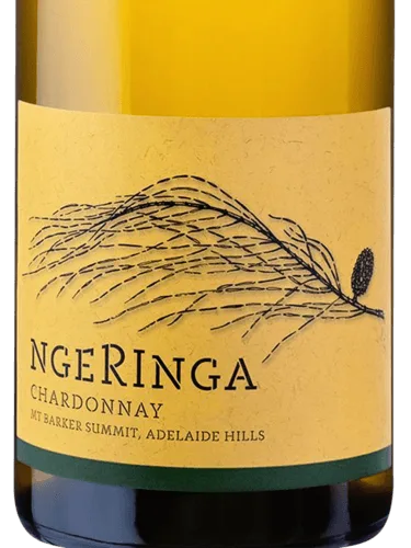 Chardonnay